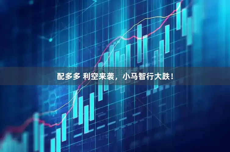 配多多 利空来袭，小马智行大跌！