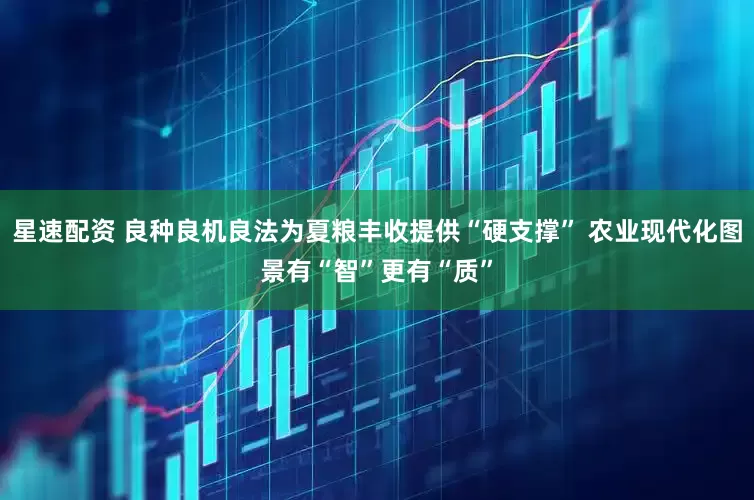星速配资 良种良机良法为夏粮丰收提供“硬支撑” 农业现代化图景有“智”更有“质”
