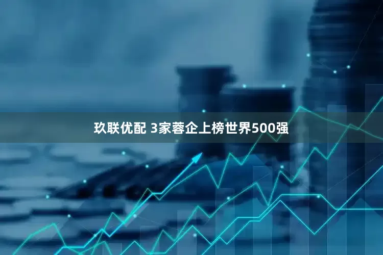 玖联优配 3家蓉企上榜世界500强