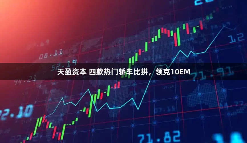 天盈资本 四款热门轿车比拼，领克10EM