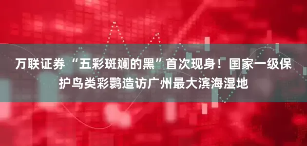 万联证券 “五彩斑斓的黑”首次现身！国家一级保护鸟类彩鹮造访广州最大滨海湿地